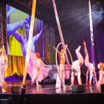 AJK Entertainment Agency | Cirque Show
