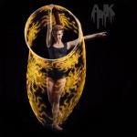 AJK Entertainment Agency | LED Hoops