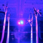AJK Entertainment Agency | Silks Troupe